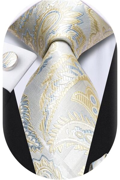 Dubulle Mens Paisely Silk Tie for Men Necktie and Pocket Square Set