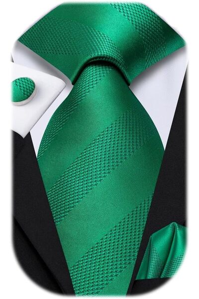 Dubulle Mens Paisely Silk Tie for Men Necktie and Pocket Square Set