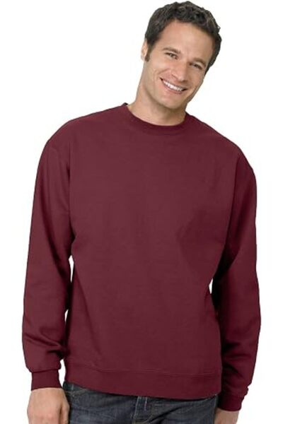 HANES Men's Ecosmart Fleece Sweatshirt, Cotton-blend Pullover, Crewneck Sweat...