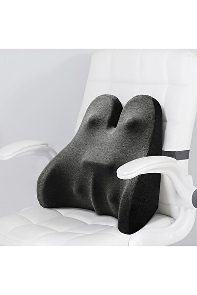 Tazweeq Lumbar Support Pillow, Memory Foam Back Support Pillow, Cushion for B...