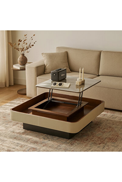 Baytonia Stylish Coffee Table - Brown, Beige and White