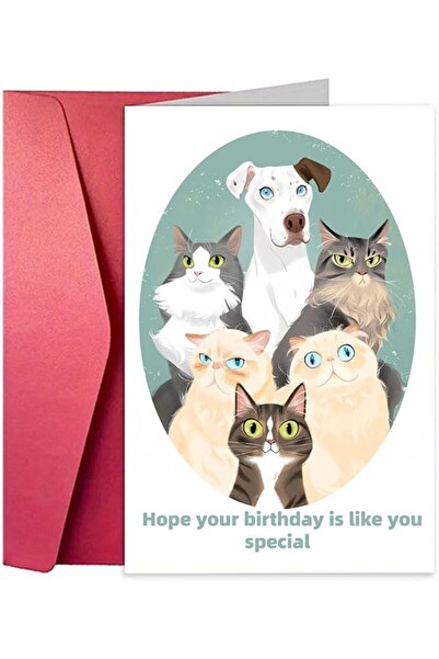 KASTWAVE Funny Cat Birthday Card for Women Men, Cute Animal Birthday Greeting...