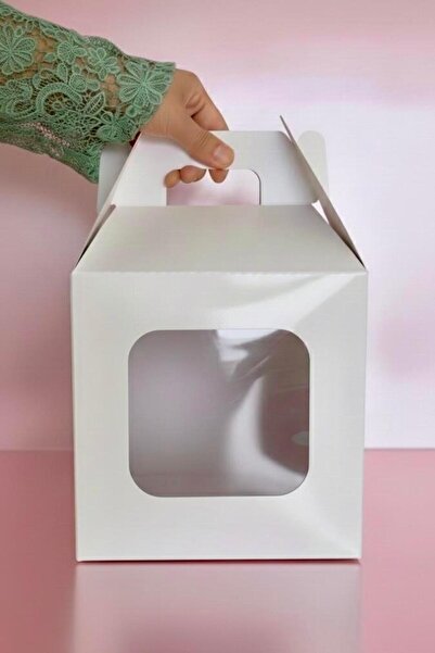 EgeConcept 18x18x18 Önden Pencereli Çanta Pasta Kutusu (ahtapot)
