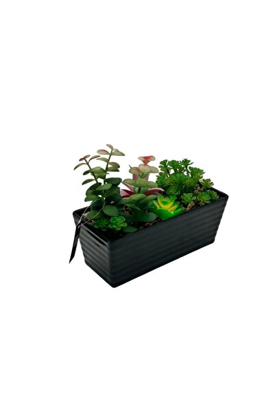 B&D نبات اصطناعي - نباتات خضراء زخرفية للمنزل والمكتب والديكور الداخلي