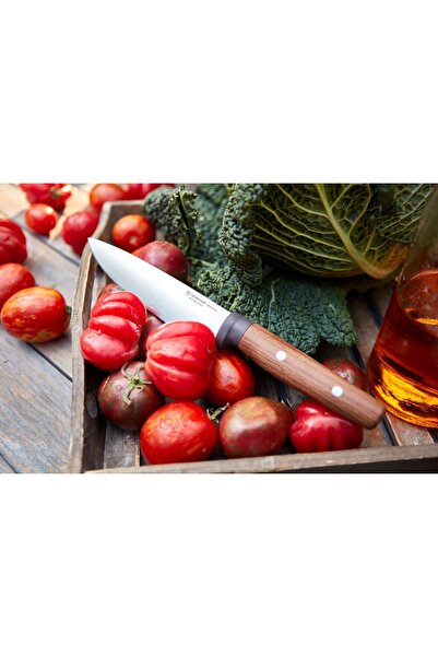 WÜSTHOF Wusthof Urban Farmer Cuțit pentru legume 10 SOLINGEN DE