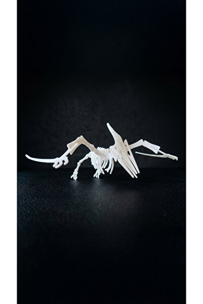 STAAU Çocuk 3D Dinosaur Skeleton Puzzle – Assemble and Educate Educational Di...