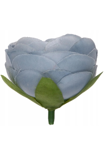 NO BRAND 48X JASKIER PEŁNIK BLUE RANUNCULUS CAP DE LUCRU