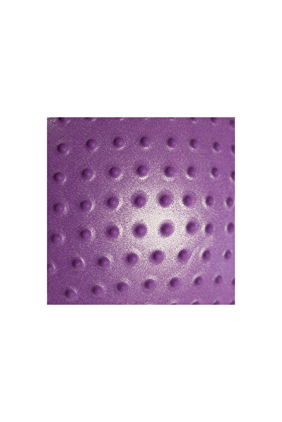 HMS Minge de exerciții pentru gravide, mov, minge de masaj cu protuberanțe, 55cm