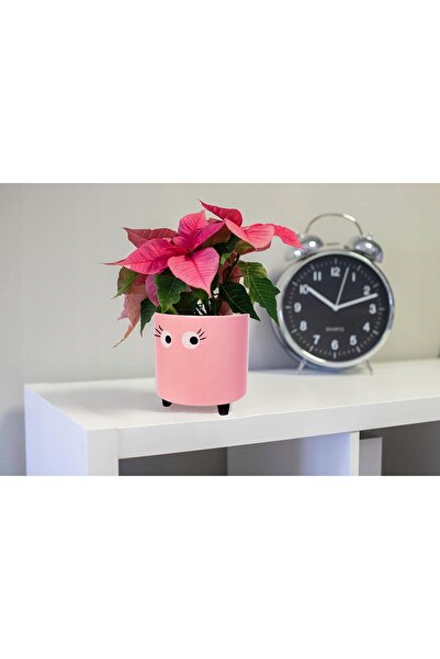 NO BRAND Ghiveci decorativ ornamental din ceramică 11x13cm