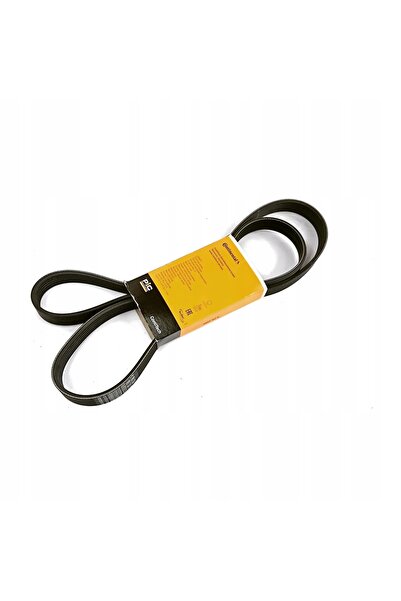 Continental Curea striată Poly-V 6PK1590 - Audi A4 B7/B8, A5, Q5