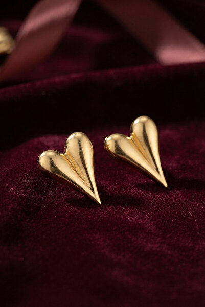Clariss 316L Steel Gold Color Heart Model Earrings