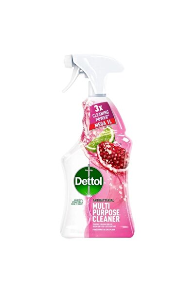 Generic Brand Dettol Power and Fresh Pomegranate Multi-Purpose Cleaner, 1 Litre