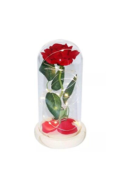 Generic Brand FATIO Enchanted Red Rose with Petals in Glass Dome Personalized...