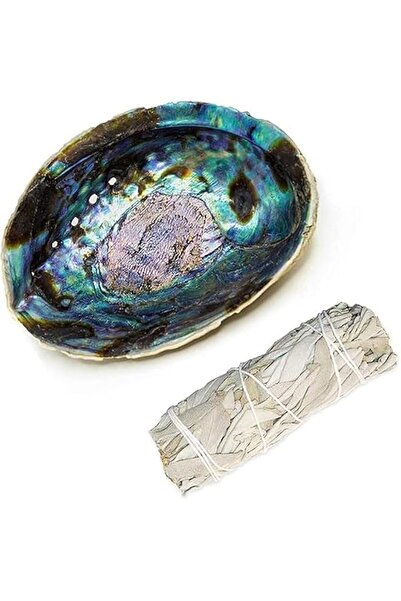 Generic Brand Smudging Kit White Sage Smudge Stick + Abalone Shell Bowl, Sust...