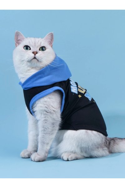 Generic Brand Blue Pet Hoodie Plus Size - Stylish Hooded Apparel for Small Ca...