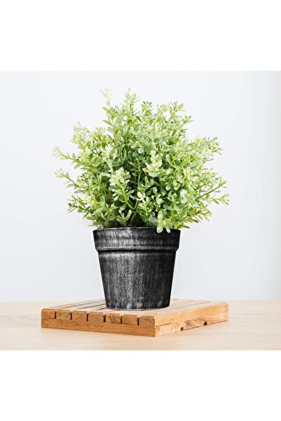 Generic Story@Home Gardening Planter Plastic Pot Set, Set of 2, Silver