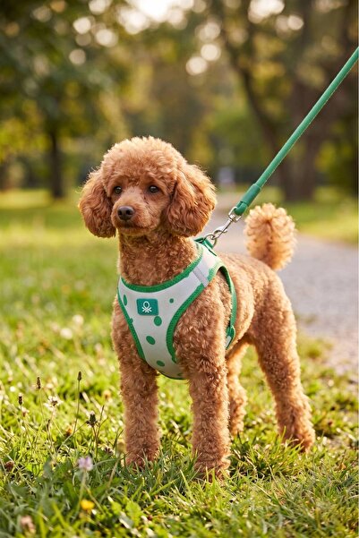 United Colors of Benetton BNT-A2503 Air-Mesh Kedi Köpek Göğüs Tasması Hava Ağ...