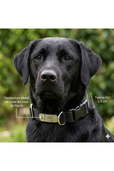hebmeyy Ayarlanabilir Yavru Köpek Ve Orta Irk Köpek Tasması, Köpek Tasma Ve K...