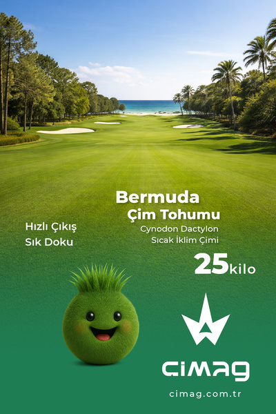 çimag Bermuda Çim Tohumu (Cynodon dactylon) – Sıcak İklim Çimi (25 Kg)
