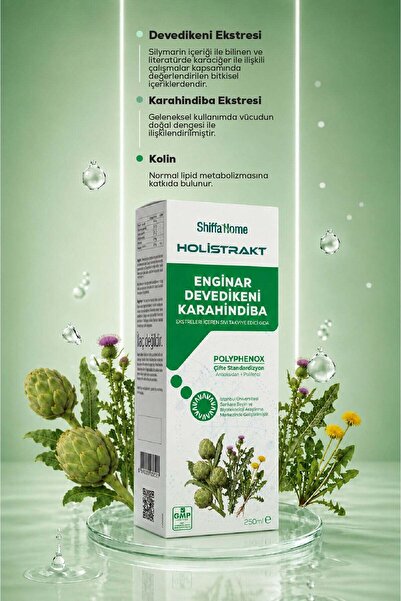 Shiffa Home HOLİSTRAKT - Enginar, Devedikeni ve Karahindiba İçeren Sıvı Ekstrat 250 ML