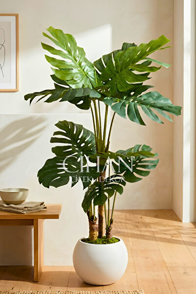 Cihan Çiçekçilik Monstera Yapay Ağaç Beyaz Küre Saksılı 170 Cm