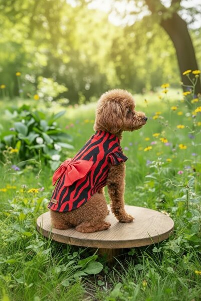 PATİLİNKA Cat - Dog Summer 100% Cotton Viscose Bowknot Shirt - Undershirt - D...