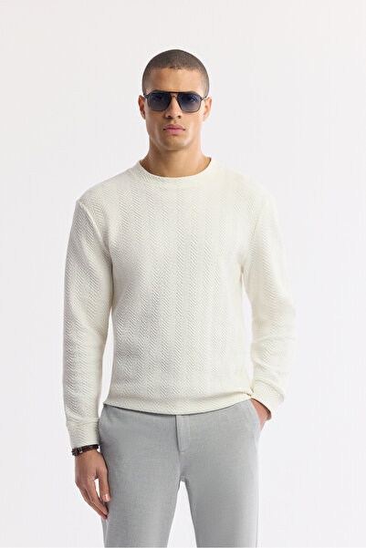 Avva Erkek Ekru Bisiklet Yaka Jakarlı Elastan Regular Fit Sweatshirt A51Y1228