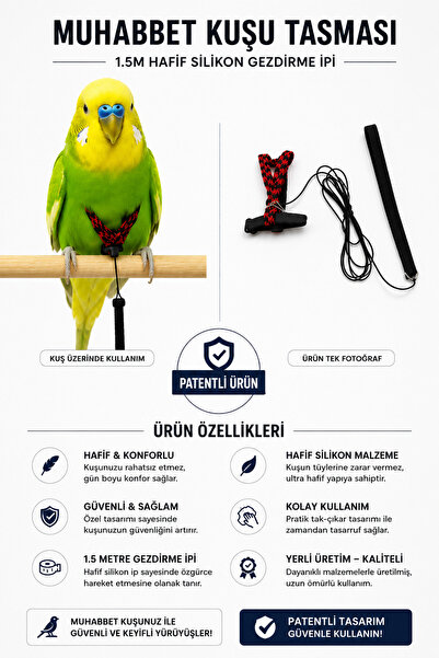 ozzipetshop Özel Tasarım Muhabbet Kuşu Tasması - 1.5 M Hafif Silikon Gezdirme...