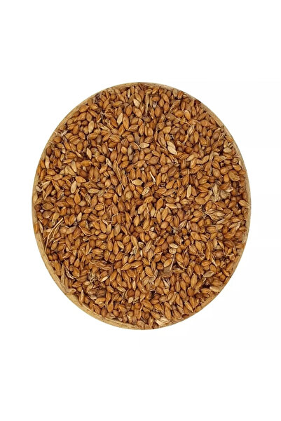 Ziraat Evim Süpürge Otu Tohumu 100 Gr
