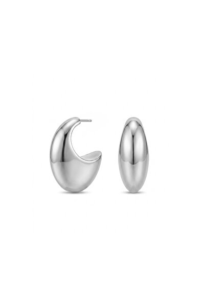 Charmist Steel Grande Luna Earrings