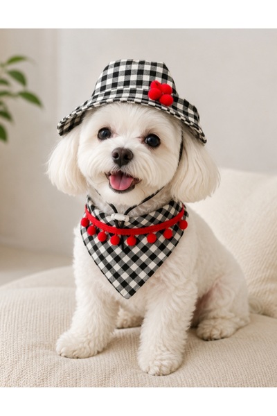 atelyu kedi köpek kıyafeti şapka bandana set