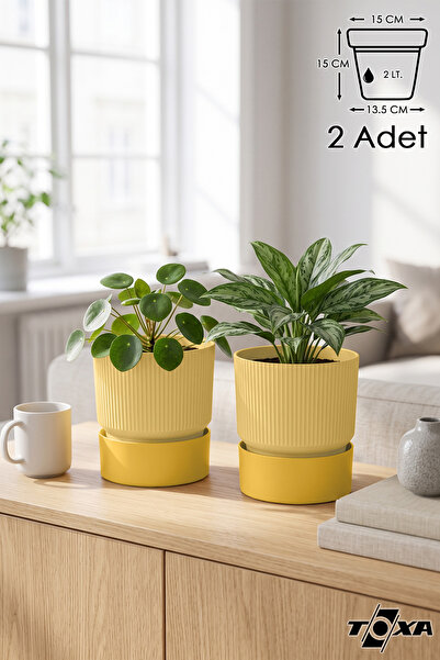 ToXA 2 Adet 2 Litre Sarı Iksora Saksı Dekoratif Tabaklı Çiçek Kaktüs Saksısı ...