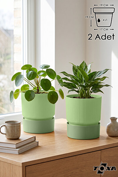 ToXA 2 Adet 4 Litre Yeşil Iksora Saksı Dekoratif Tabaklı Çiçek Kaktüs Saksısı...