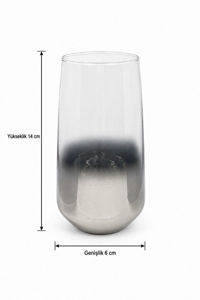 LOVAL Hayat Series 480 ml Silver Titanium Coated Glass Water Cup Set 6 Pieces Modern Stylish Glassware Set