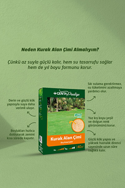 Genta Prestige Kurak Alan Çim Tohumu 1 Kg