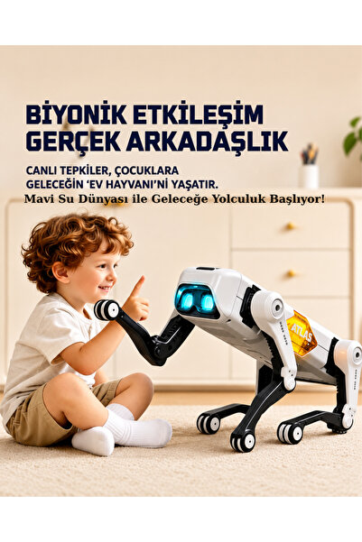 mavi su dünyası Uzaktan Kumandalı ve Mobil Kontrollü Şarjlı Yapay Zekalı Robo...