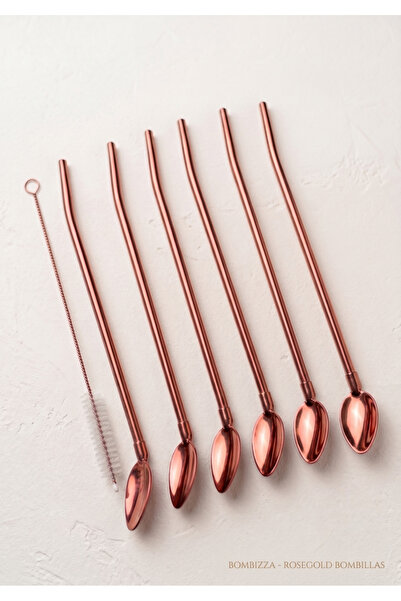 Elista 6-Piece Bronze Latte Spoon with Straw, Cocktail Spoon and Cleaning Bru...