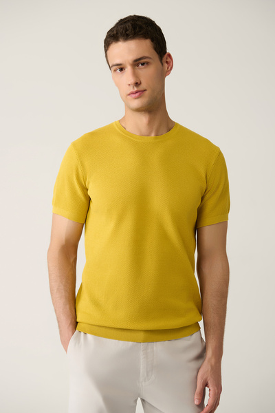 Avva Men's Mustard Crew Neck Textured Cotton Regular Fit Knitwear T-Shirt E00...