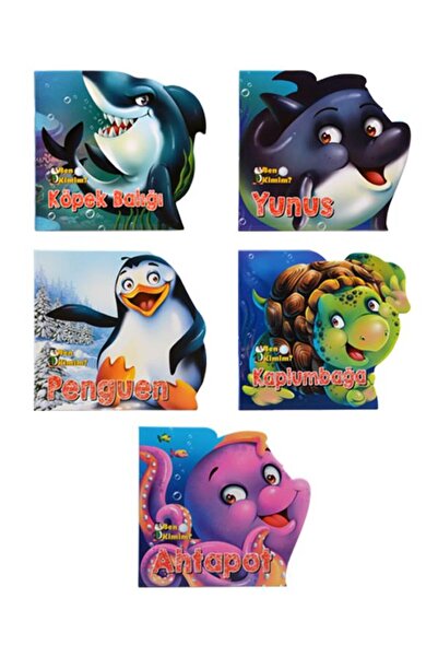 Parıltı Yayıncılık Who Am I? Water Animals Book Set Parıltı Publications