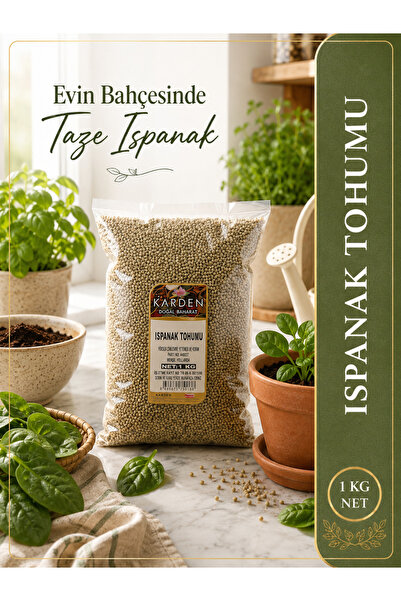 Karden ISPANAK TOHUMU LÜX 1 KG