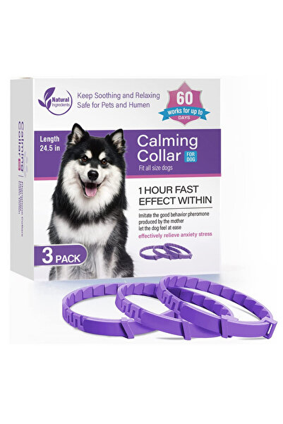 Choice Maximum size 62CM Pet Cats and Dog Flea And Tick Collar Efficient Reli...