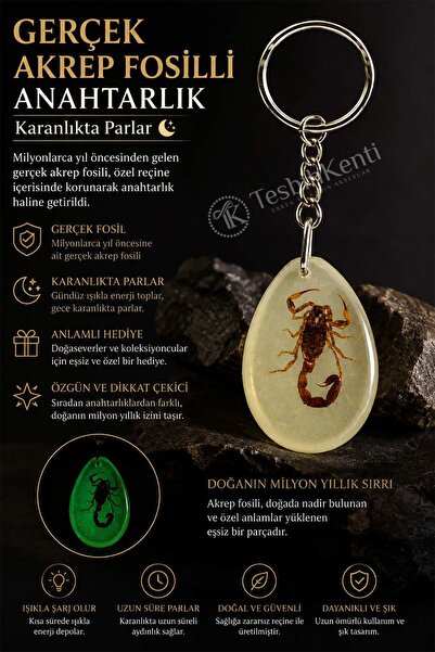 TESBİHKENTİ Breloc Fossil Scorpion Culoare Verde Model 3