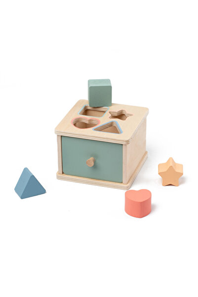 Choice5 style2 Baby Montessori Sensory Toy Obiect Permanent Box Color Sorting...