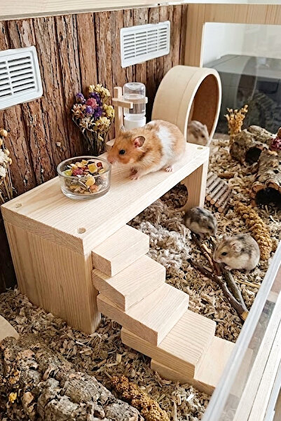 Kuzeylina Doğal Ahşap Hamster Platformu & Oyun Alanı 25x11x10 cm - Kemirgen A...