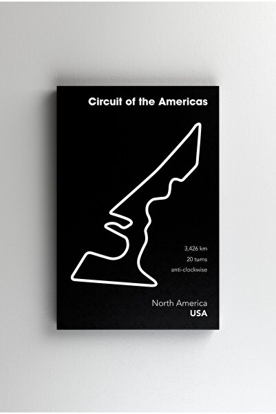 Efect Canvas Tablou Canvas - Circuit of America Black