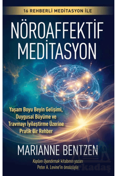 Butik Yayınları Neuroaffective Meditation