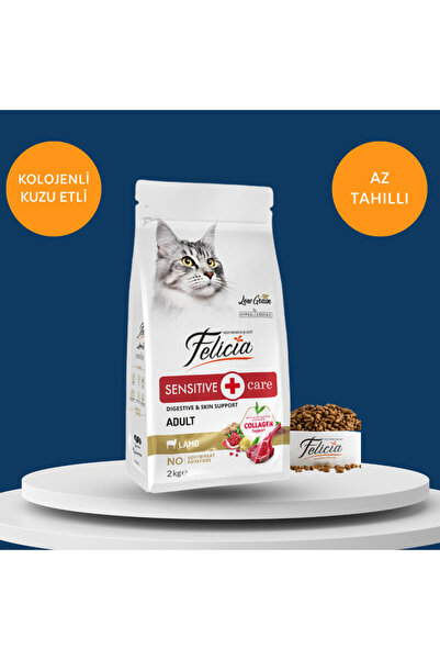 Felicia Düşük Tahıllı Hipoalerjenik Kuzu Etli Yetişkin Kedi Maması 2 kg (Low ...