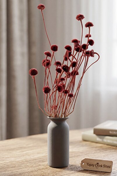 Yapay Çiçek Sitesi Dried Flower Natural Chamomile Herb 48cm Burgundy