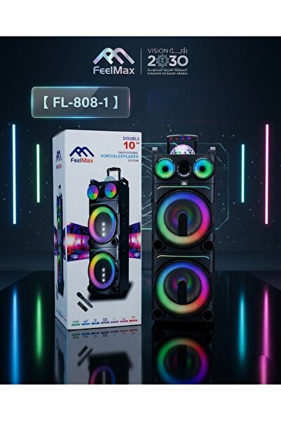 FEELMaX FL-808-1 double 10-inch portable professional speaker system.
