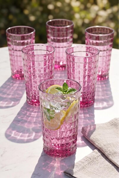 EWs Acrylic Allegra Plum 6-Piece Long Glass & Water Soft Drink Glass 750 ml (...